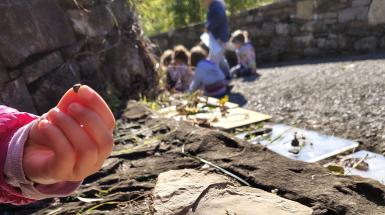 BiodiversiMeet! Scopri la biodiversità con le esplorazioni naturalistiche - Bergamo Science Festival