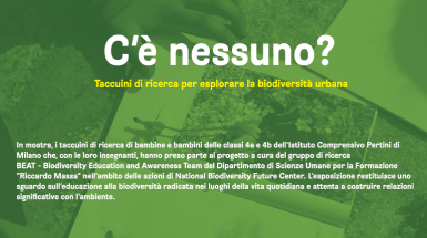 “C’è nessuno?” - Taccuini di ricerca per esplorare la biodiversità urbana - Mostra