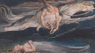 immagine copertina Seminari Aperti Pratiche Filosofiche