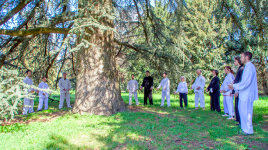 foto evento seminari aperti di pratiche filosofiche - persone all'aperto attorno a un albero