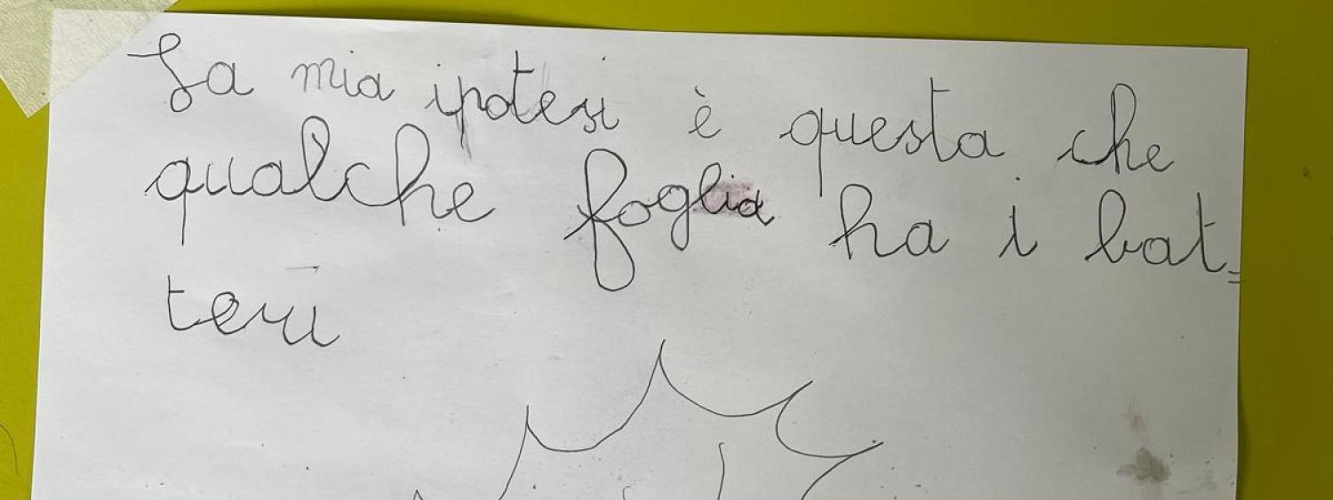 Le attività di Villa Carlotta: esperienze di educazione alla biodiversità per bambini e bambine