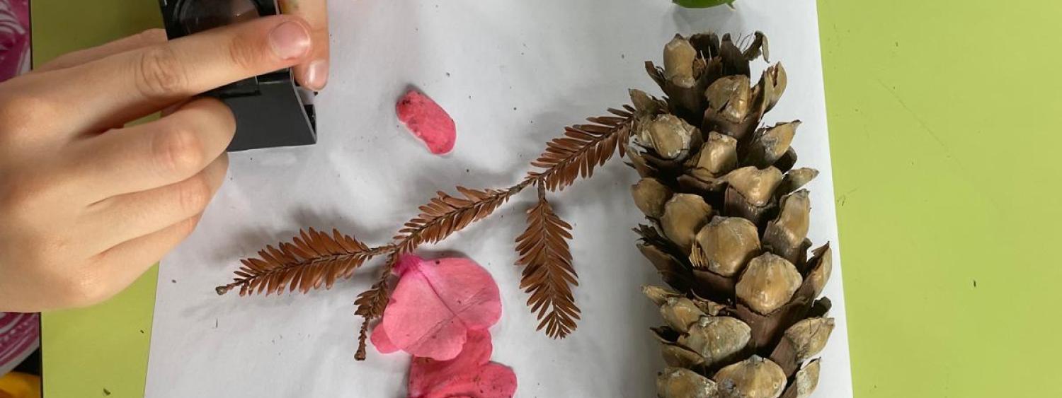 Le attività di Villa Carlotta: esperienze di educazione alla biodiversità per bambini e bambine