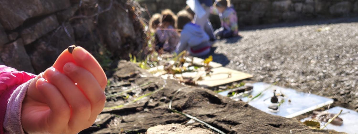 BiodiversiMeet! Scopri la biodiversità con le esplorazioni naturalistiche - Bergamo Science Festival