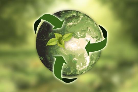 mondo verde - tema della sostenibilità